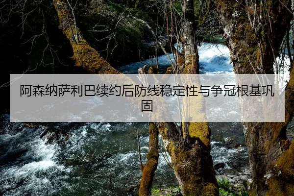 阿森纳萨利巴续约后防线稳定性与争冠根基巩固