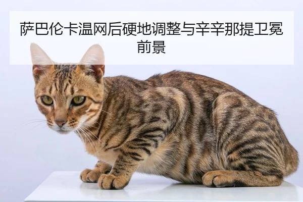 萨巴伦卡温网后硬地调整与辛辛那提卫冕前景