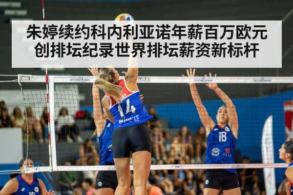 volleyball salary record