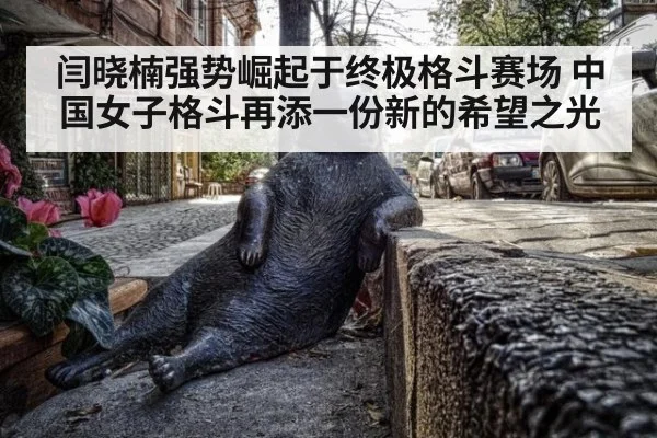 闫晓楠强势崛起于终极格斗赛场 中国女子格斗再添一份新的希望之光